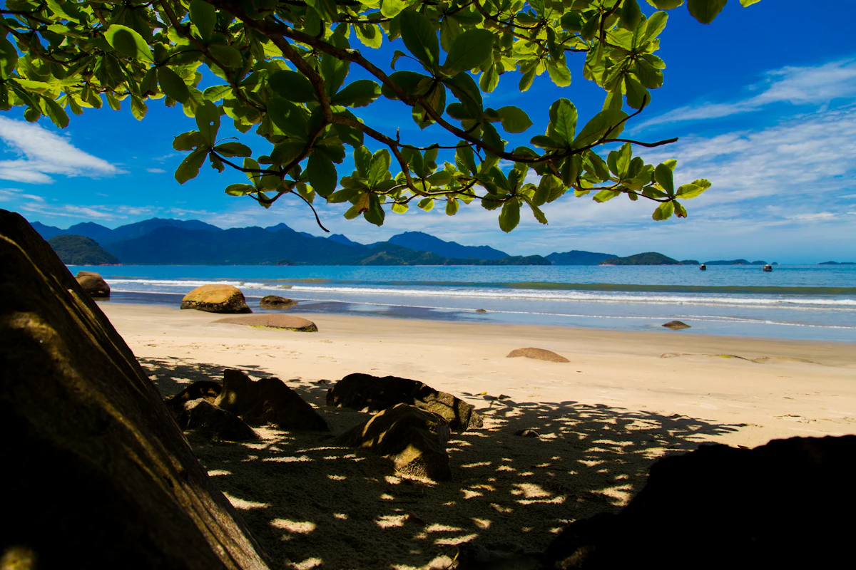 Praia emoldurada pela mata atlântica, com Ilhabela ao fundo